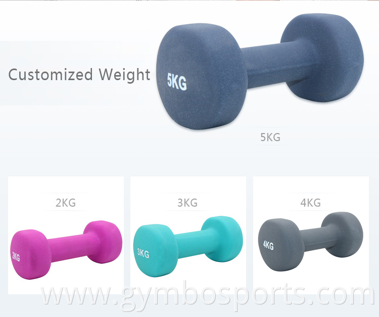 Popular Sale Gym Bodybuilding Equipment Custom Plastic Coated Dumbbell